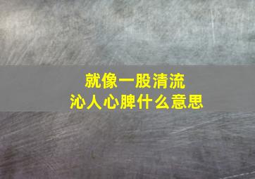 就像一股清流 沁人心脾什么意思